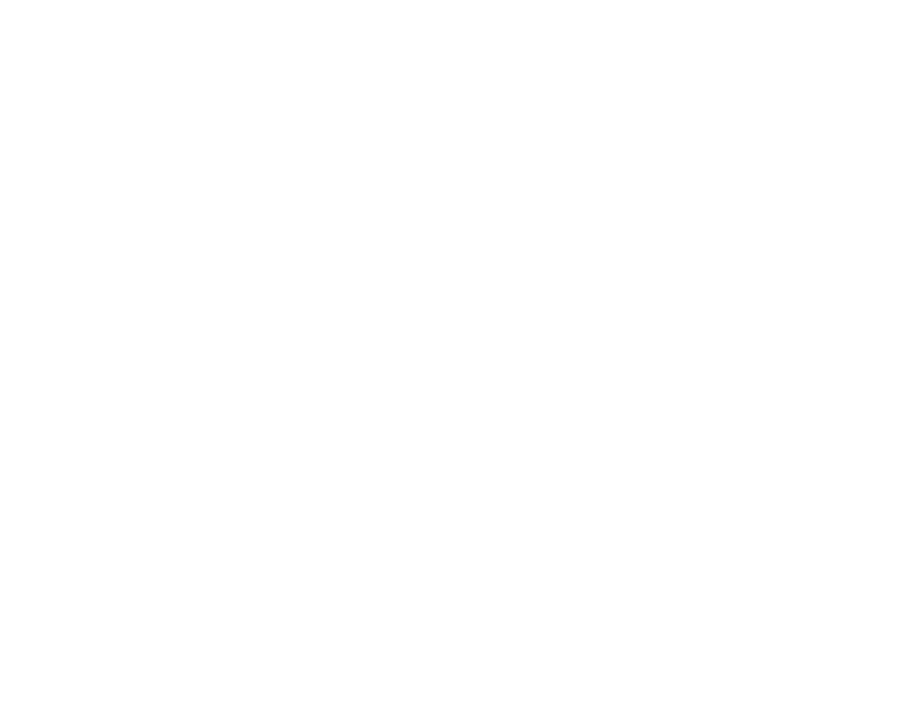 The Winning Team